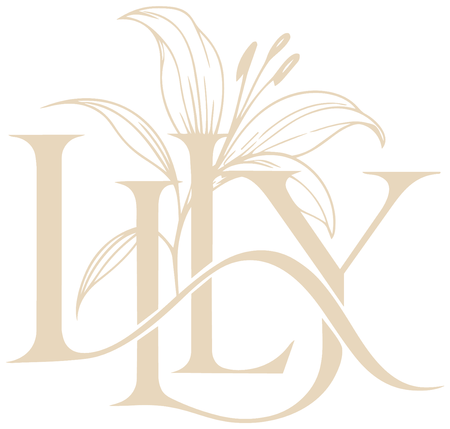 شعار LILY