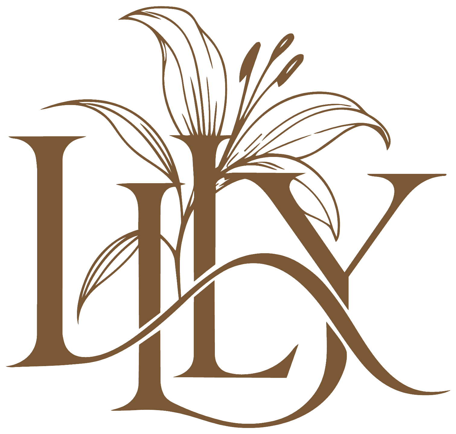 شعار LILY